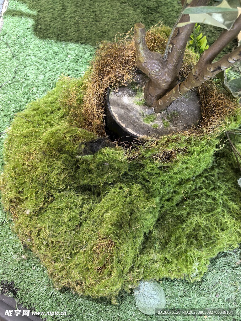 仿真苔藓景观