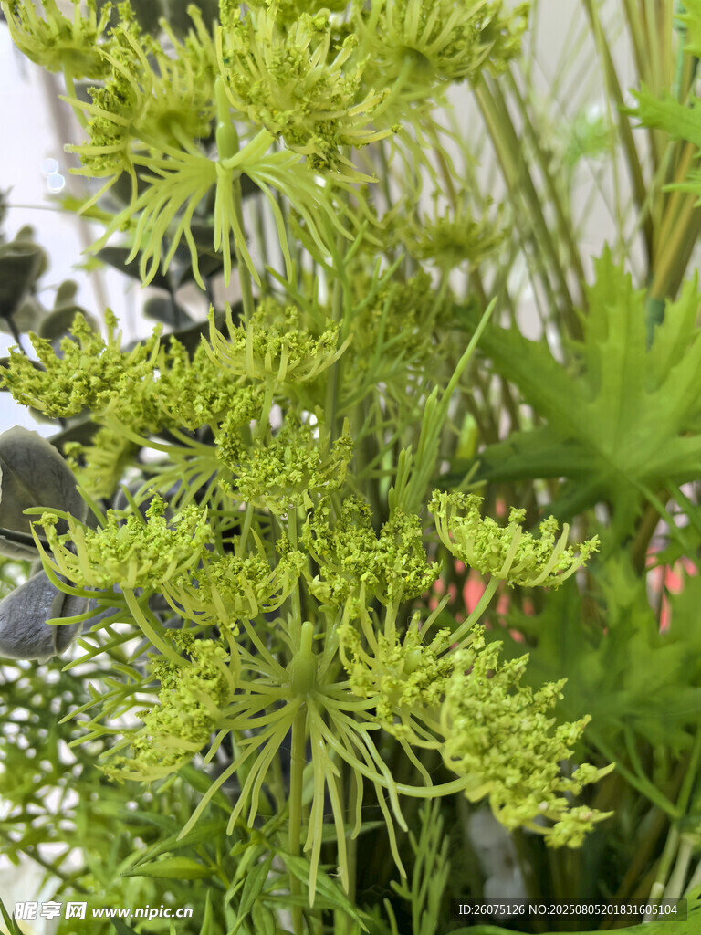 翠绿繁茂的仿真植物景观