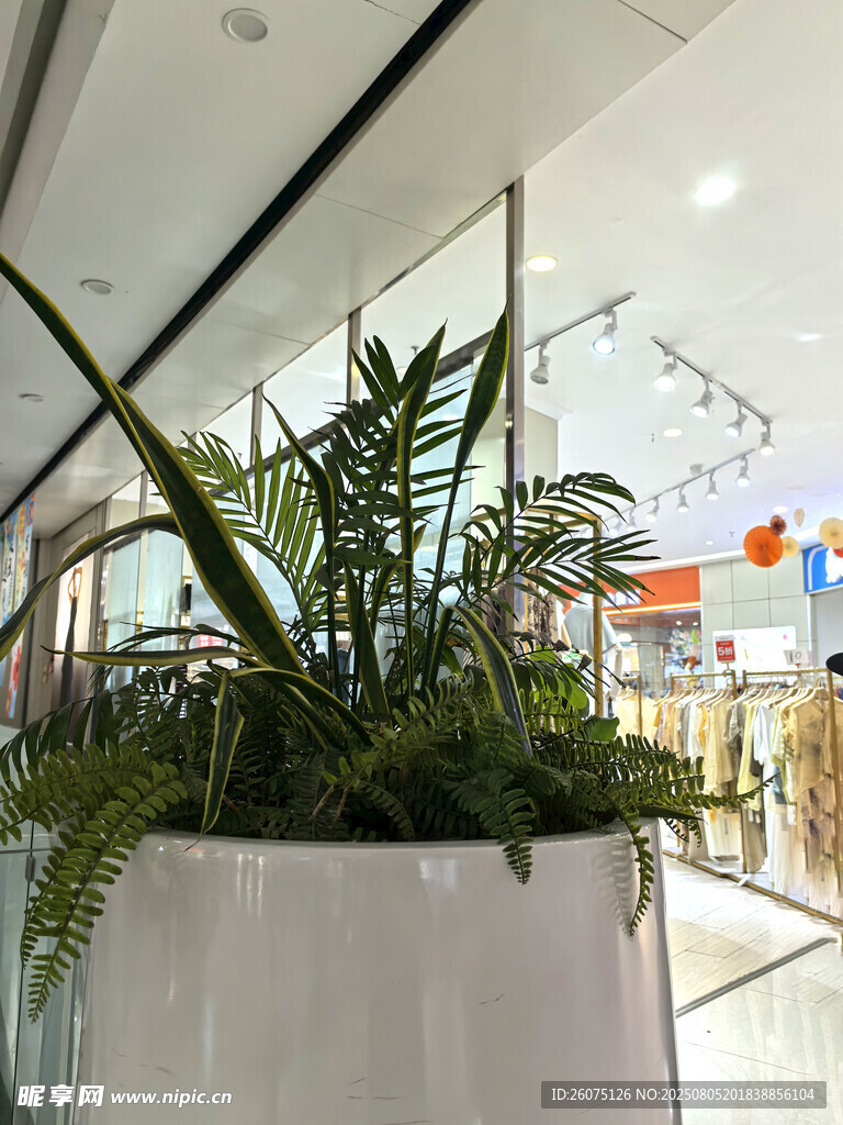 室内仿真绿植装点明亮空间