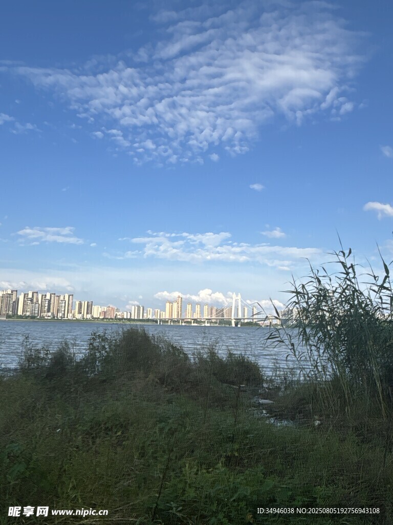 湖畔蓝天绿树城市远景