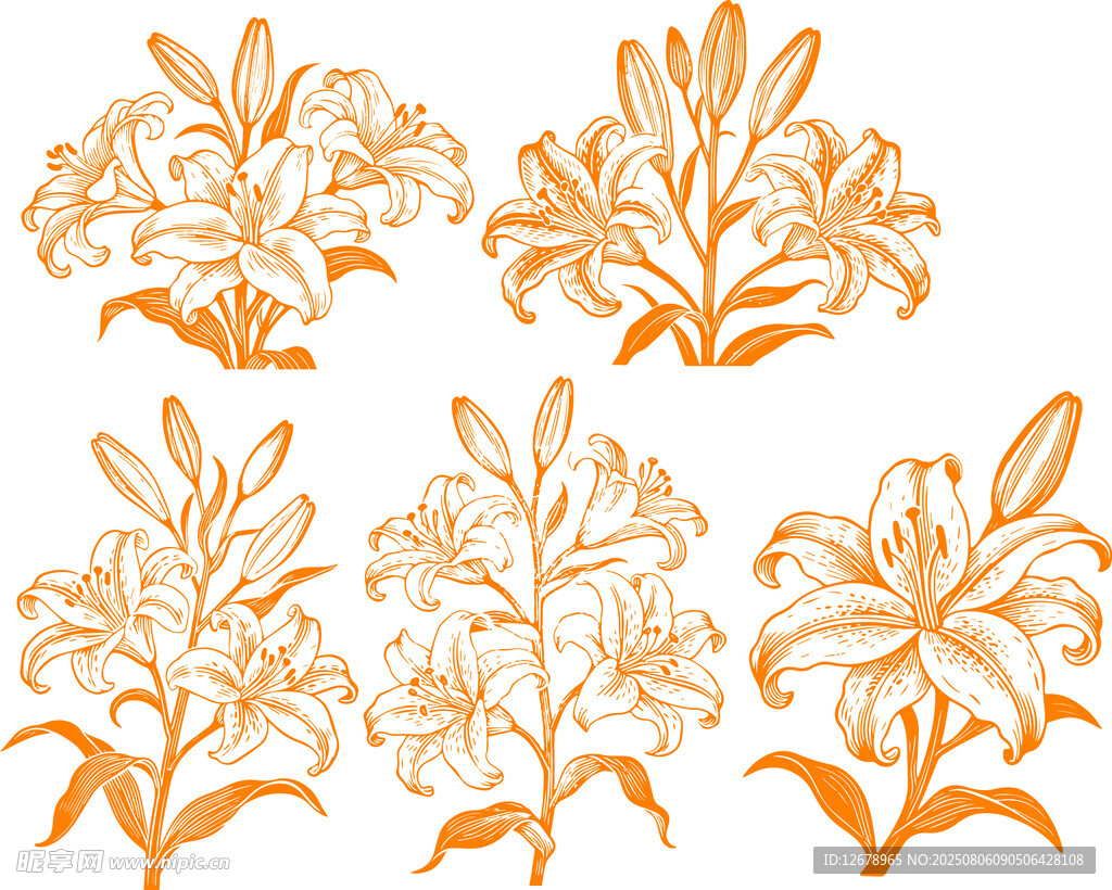 百合花卉植物图案设计
