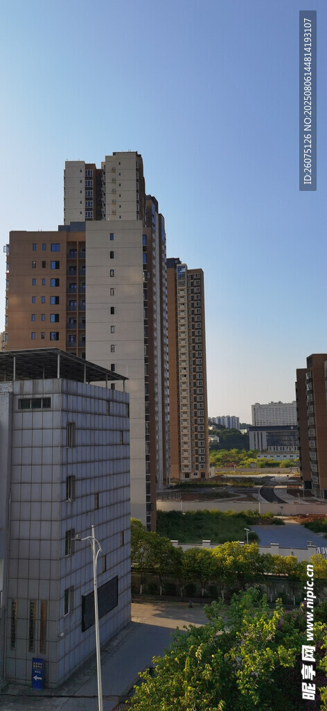 城市建筑与绿植景观