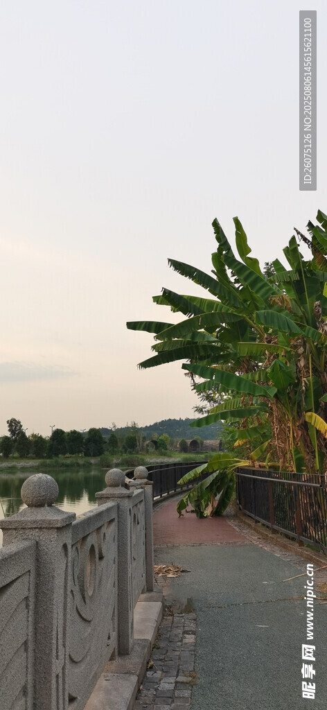 河畔绿植旁的宁静步道