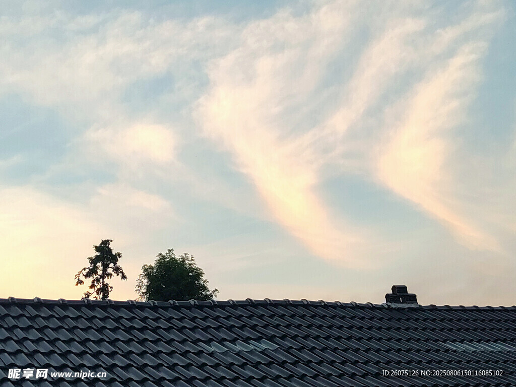 屋顶上的天空与绿植景观