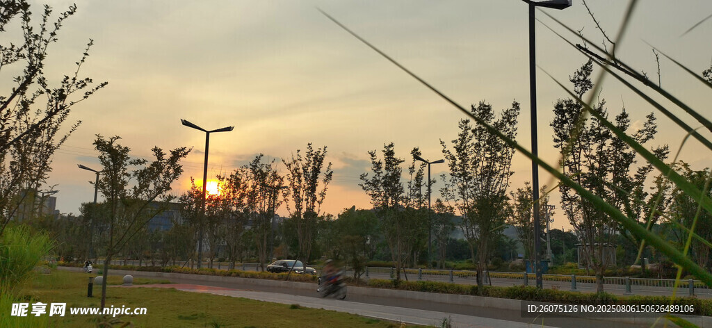 夕阳下的公路景观
