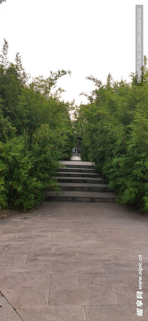 幽静石阶小径