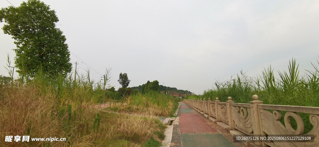 乡间小路旁的开阔田野