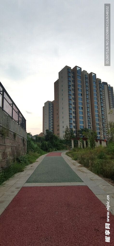 红绿相间的步道与远处高楼