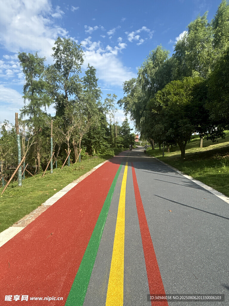 彩色条纹的林间道路