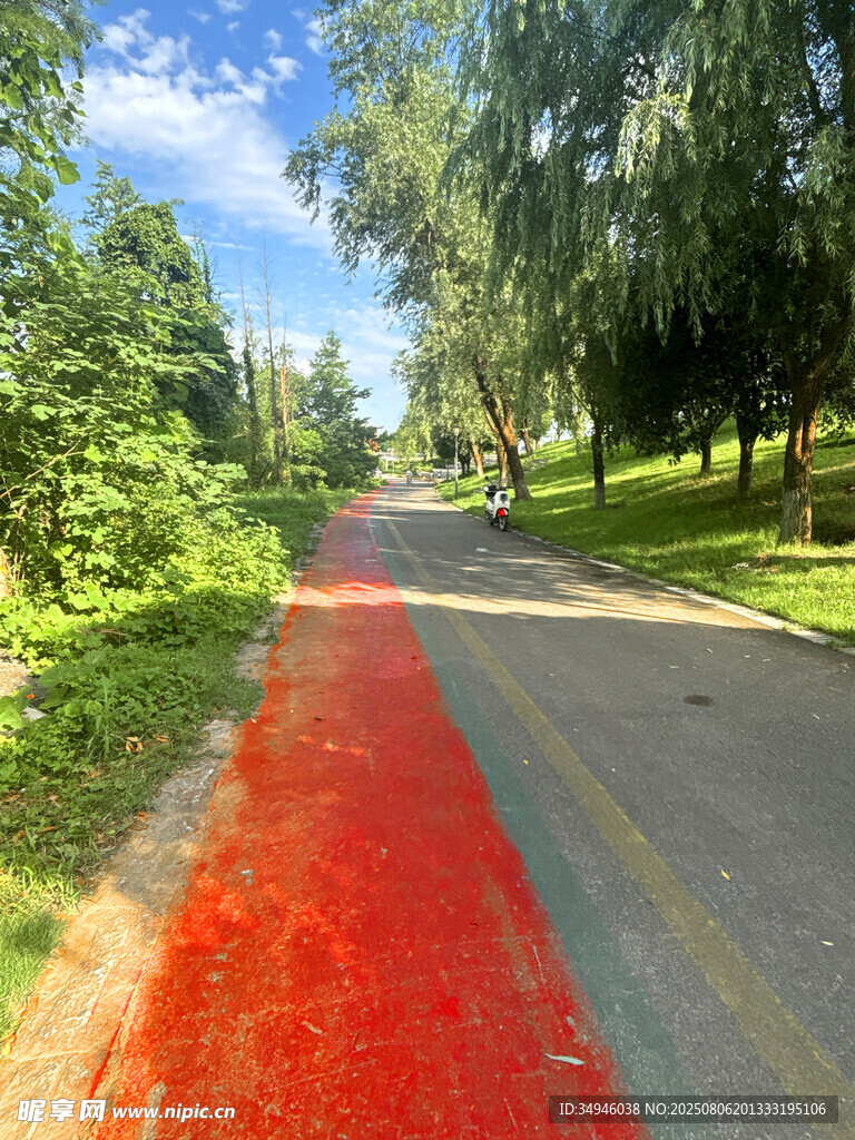 红色步道穿梭于绿意之中