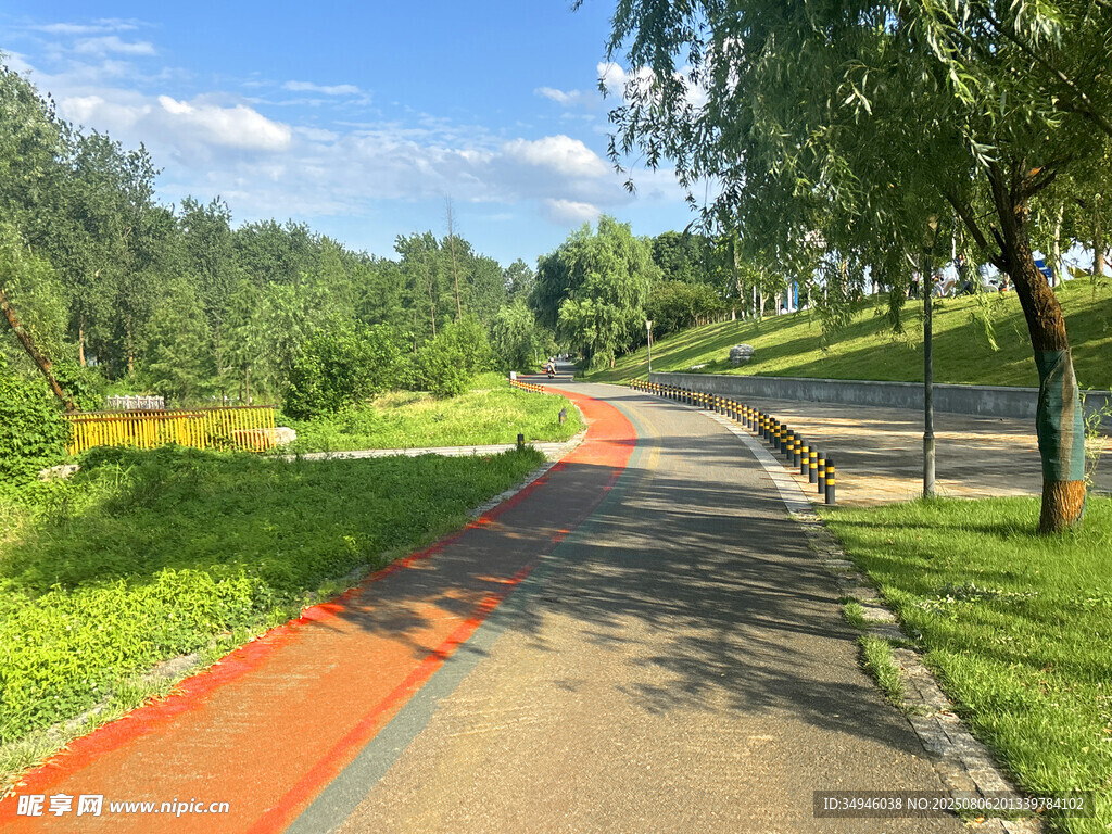 公园彩色步道风景如画