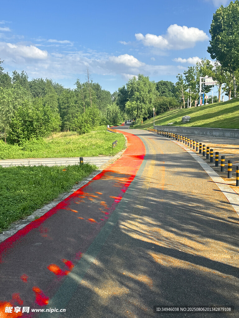 彩色步道旁的自然风景
