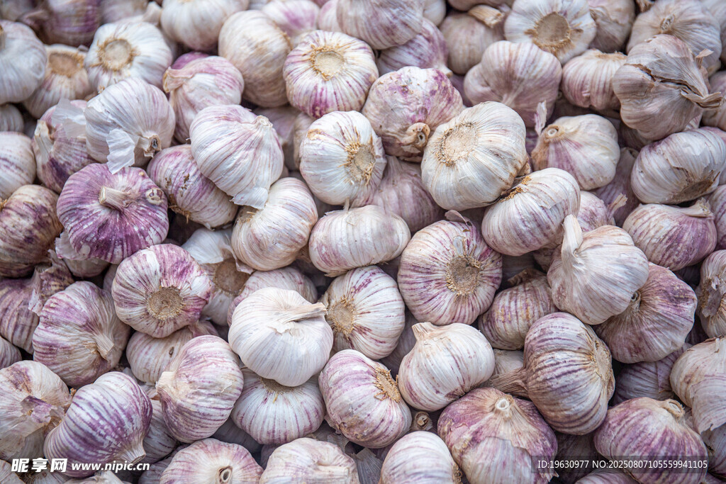 饱满大蒜特写
