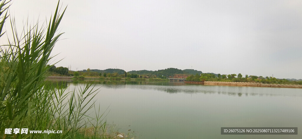 湖畔风光绿意盎然
