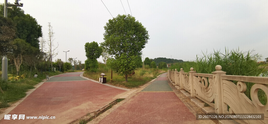 城郊岔路口