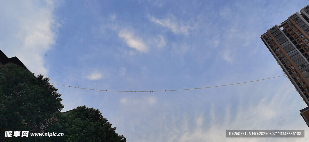 仰视天空与建筑景观