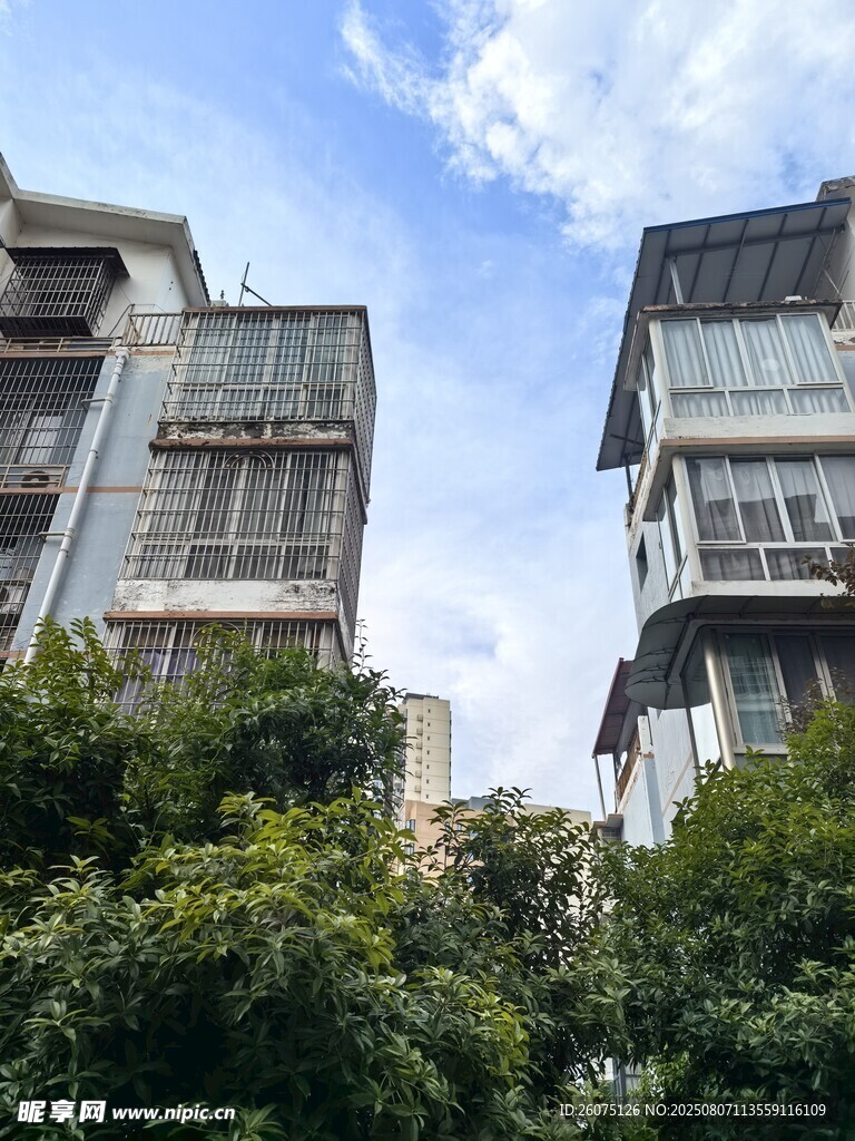 居民楼间绿树蓝天景象