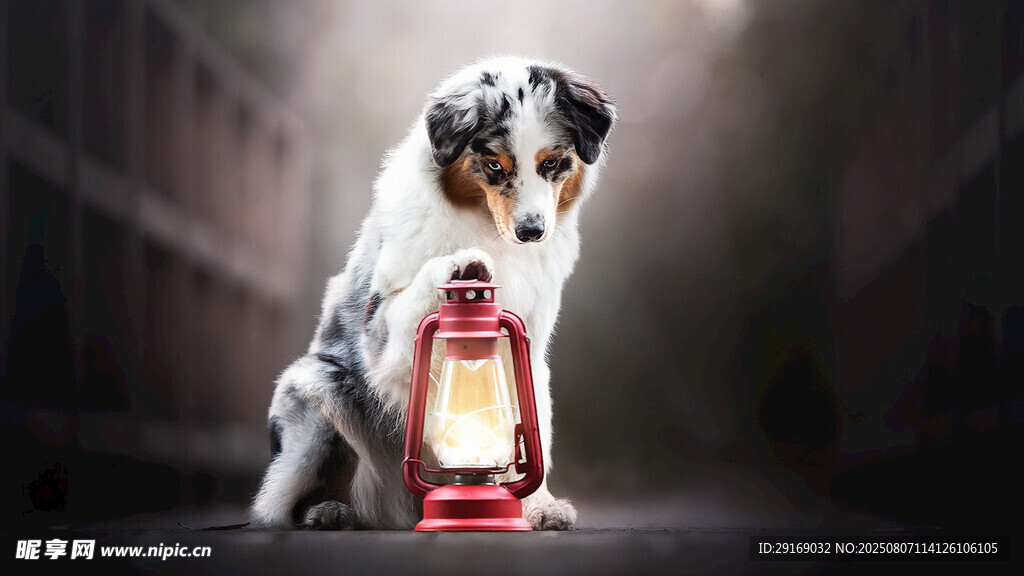 狗狗与复古提灯的温馨画面