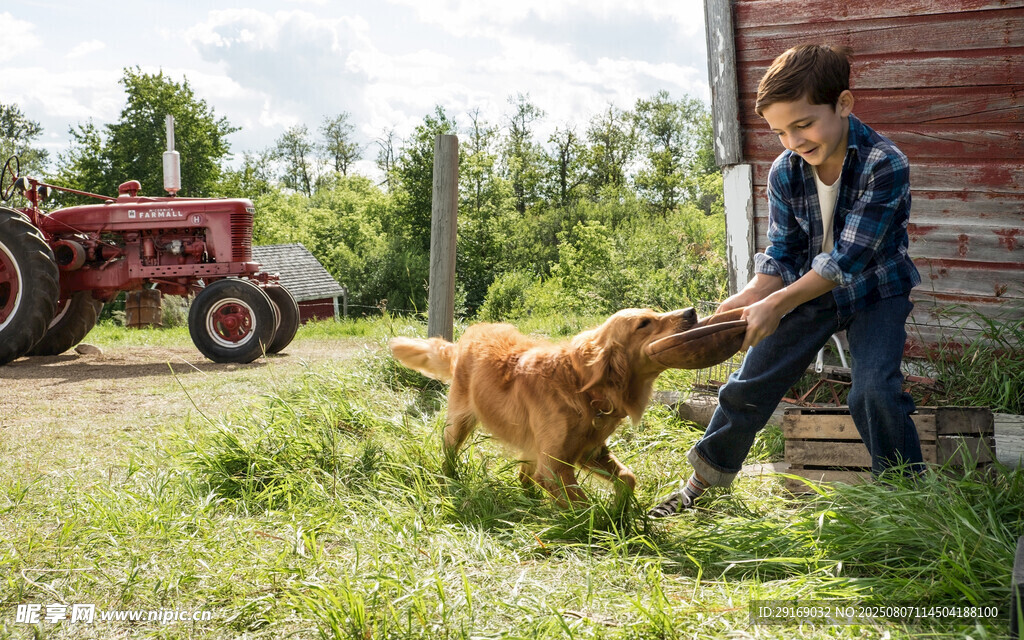 男孩与狗在农场亲密互动