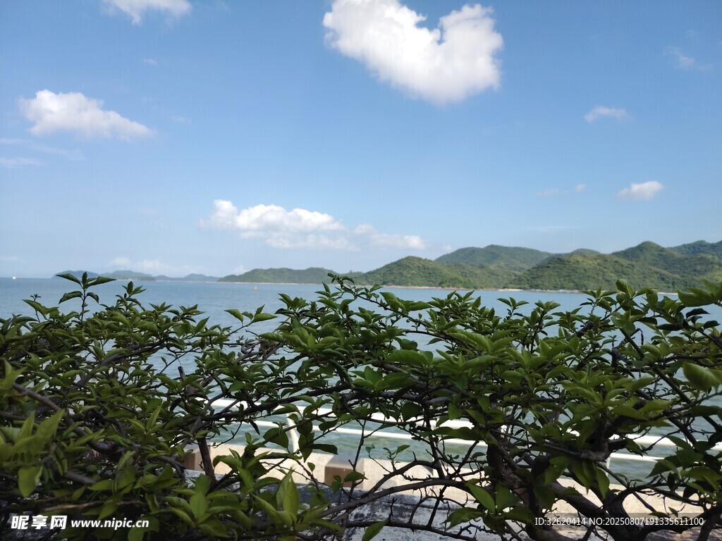 海边绿植与蓝天白云海景