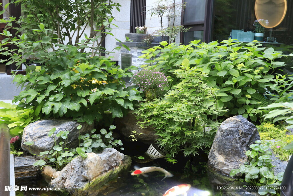 庭院中式水景绿植景观