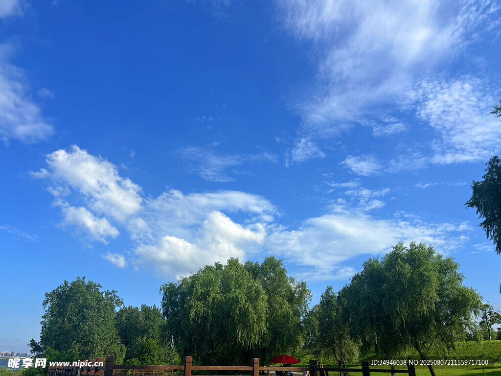 蓝天白云下的绿意田园