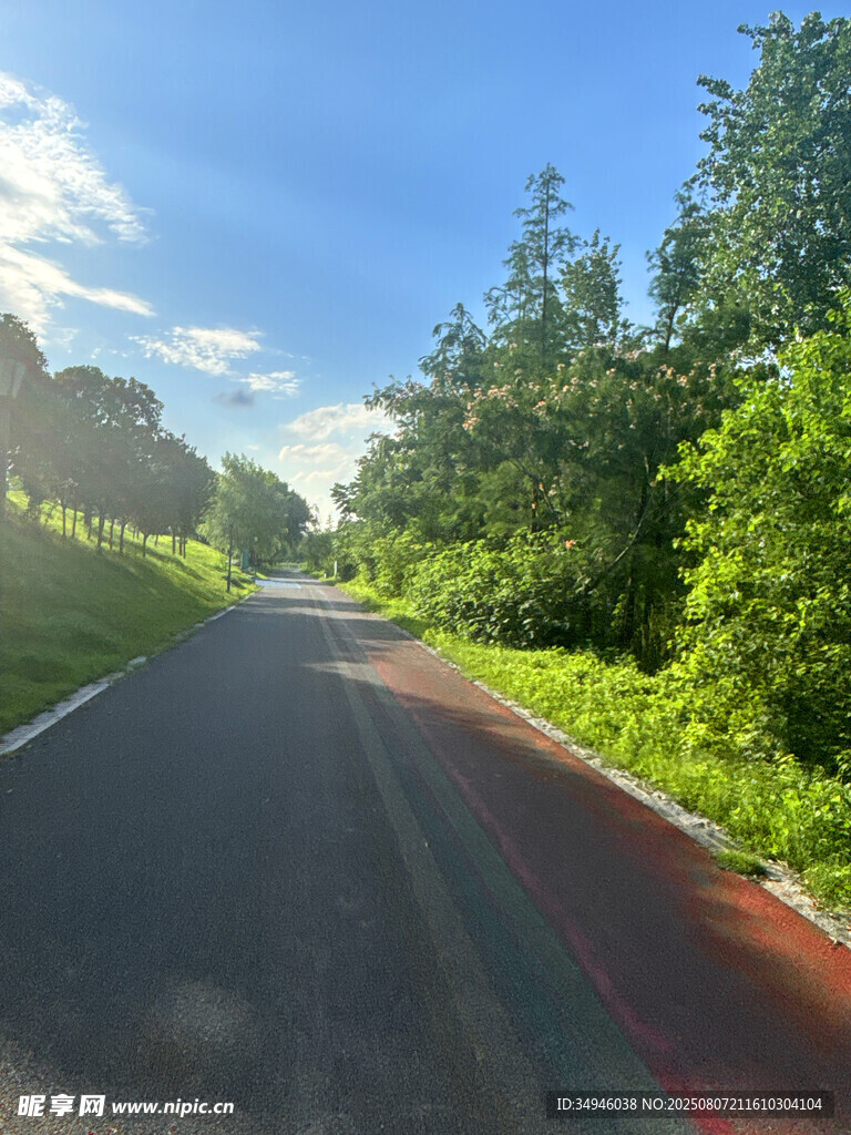 林间公路