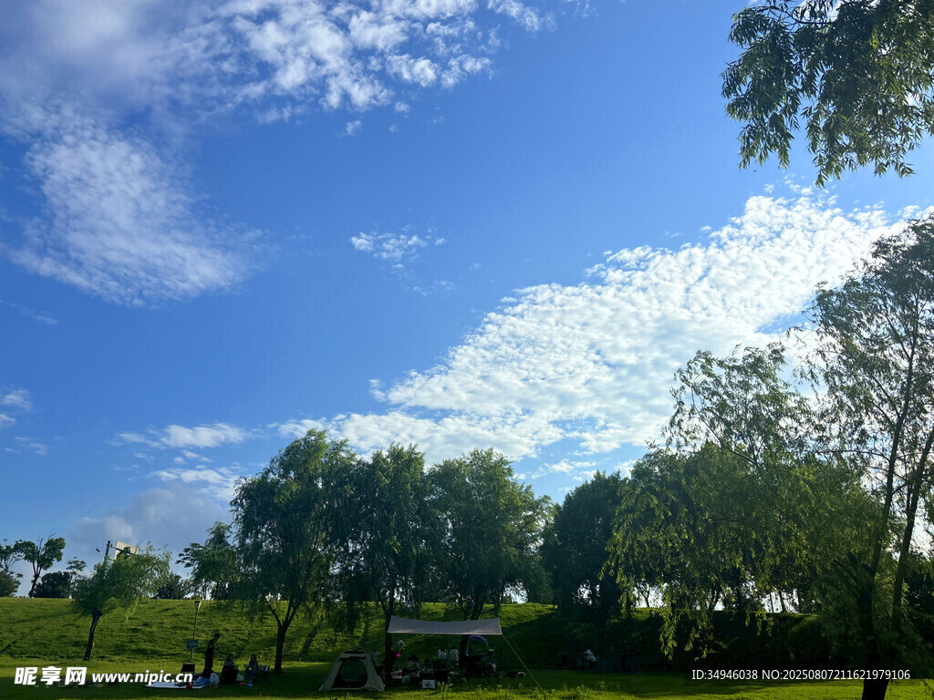 蓝天白云下的绿意风景