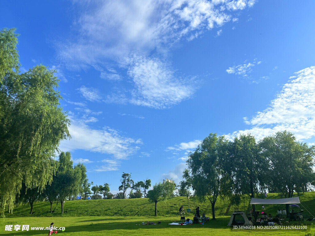 蓝天白云下的绿意公园