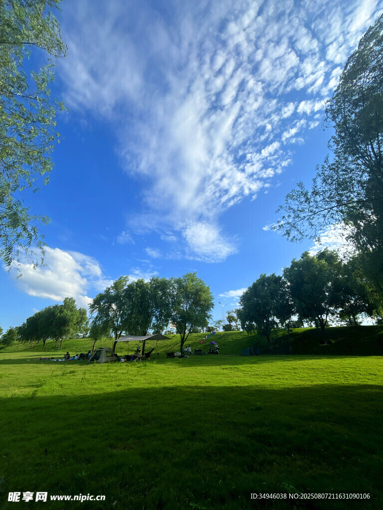 蓝天绿地间的清新自然景