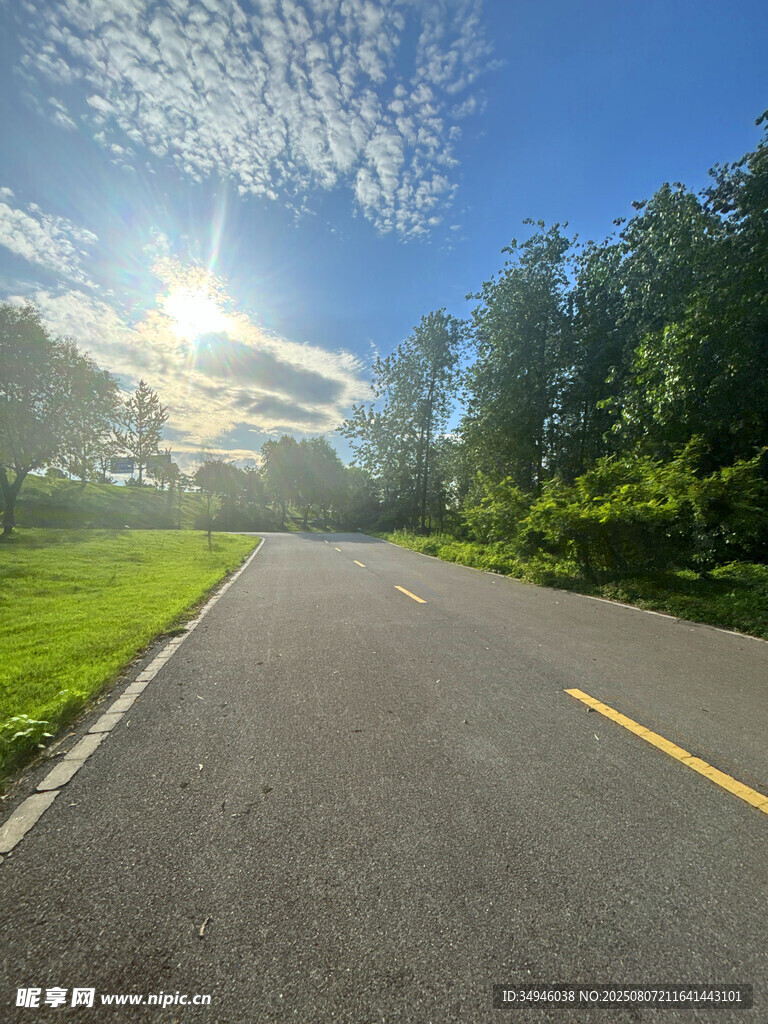 阳光照耀下的林间公路