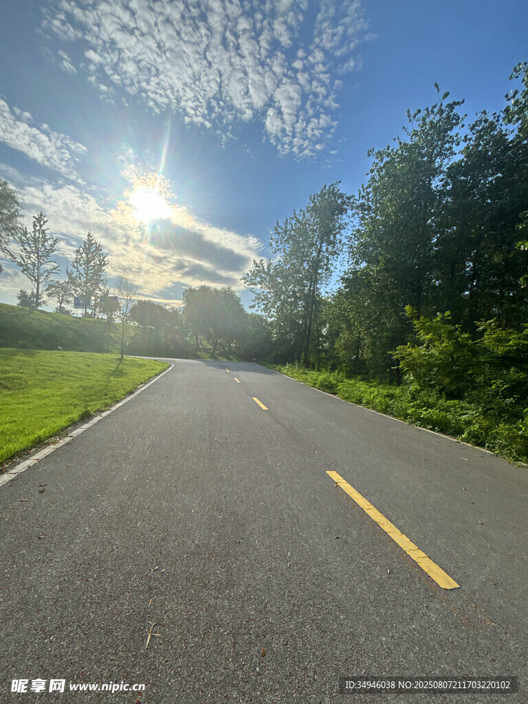 阳光照耀下的林间公路