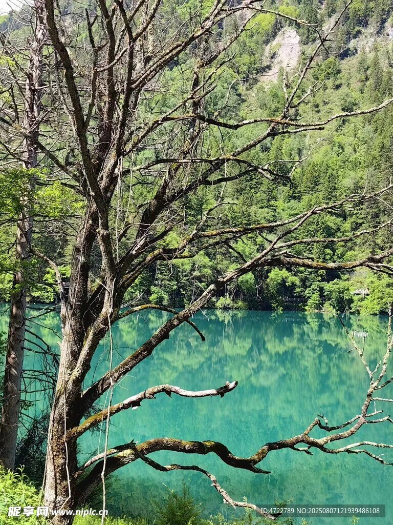 翠绿山林间的澄澈蓝湖