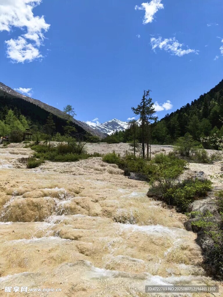 山间溪流旁的壮丽自然景观