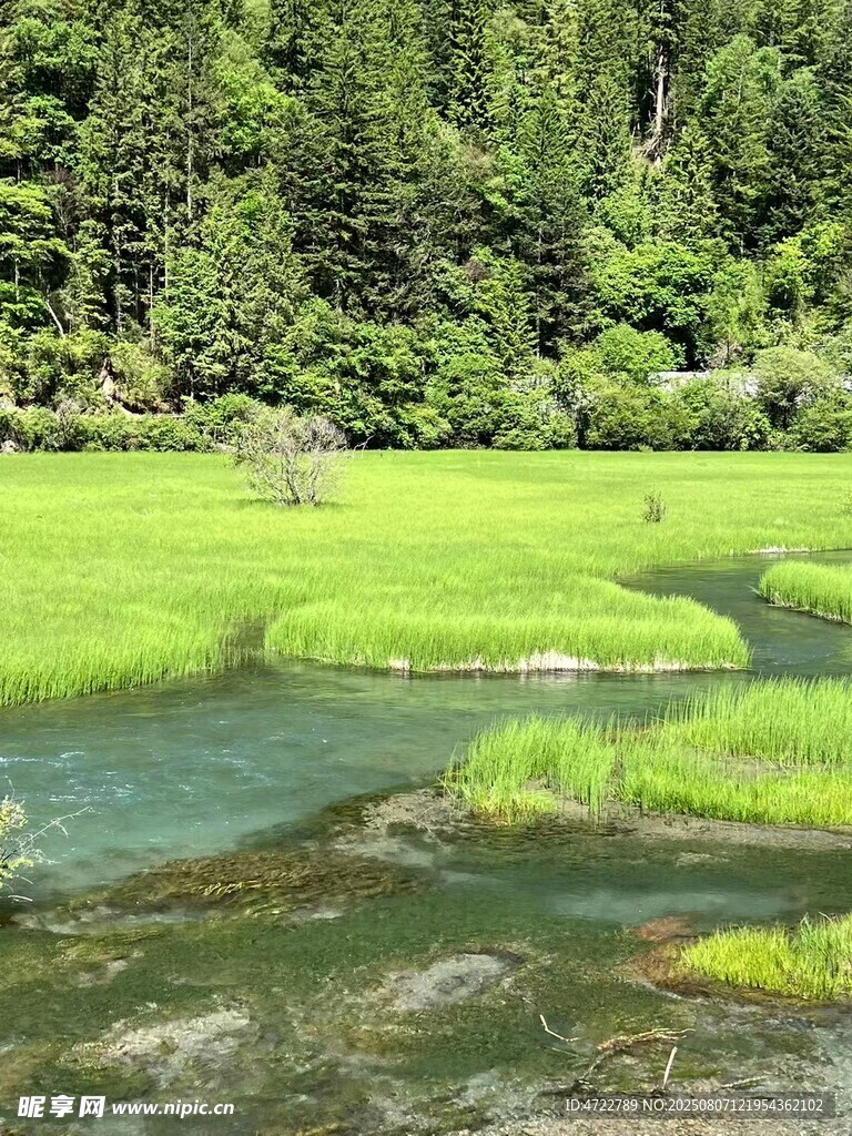 山间绿野中的蜿蜒溪流