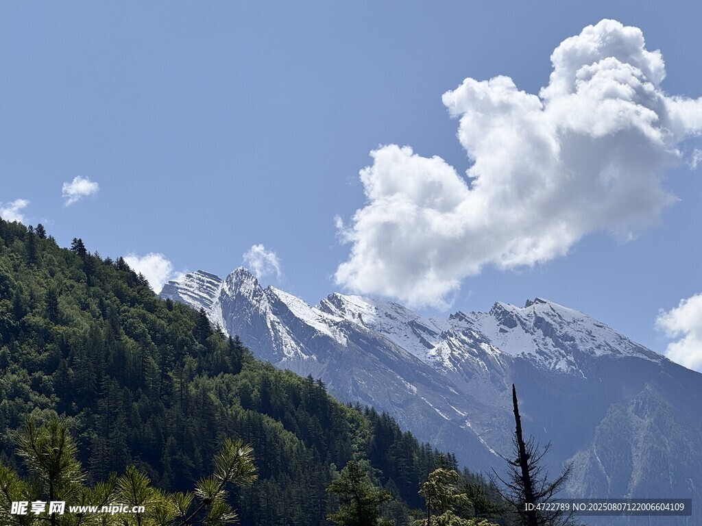 雪山与葱郁山林美景