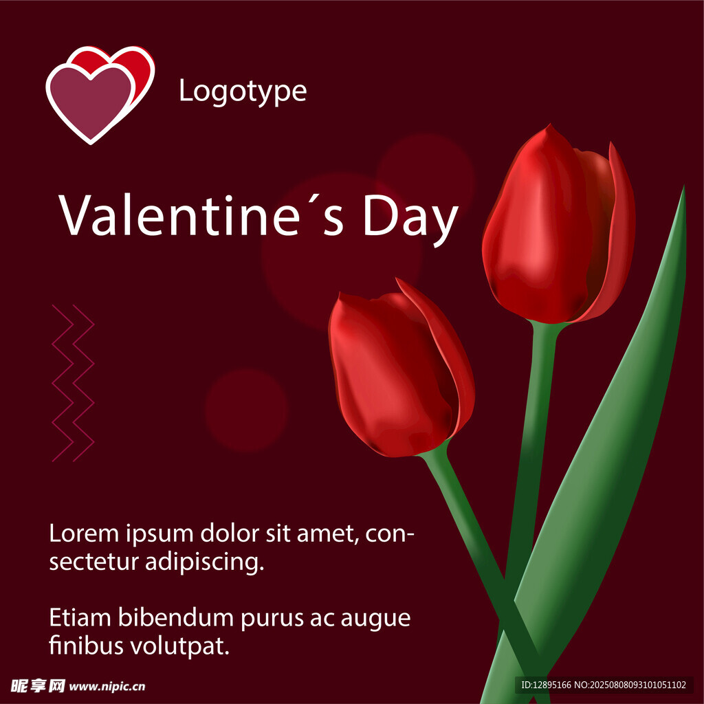 情人节红郁金香插画