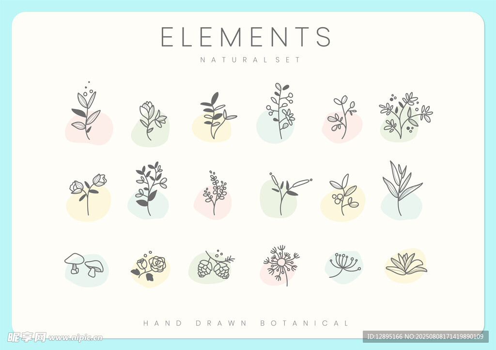 手绘花卉元素集合