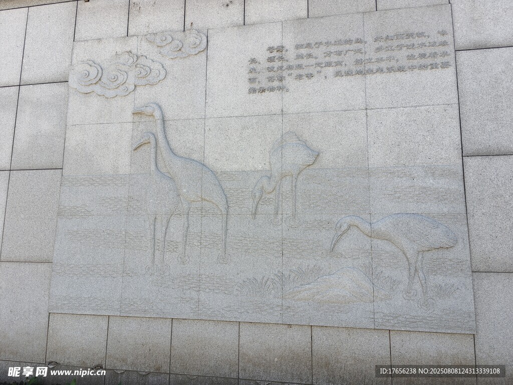 墙上仙鹤动物图案绘画