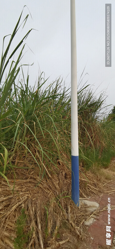 田野中的蓝白相间标志杆