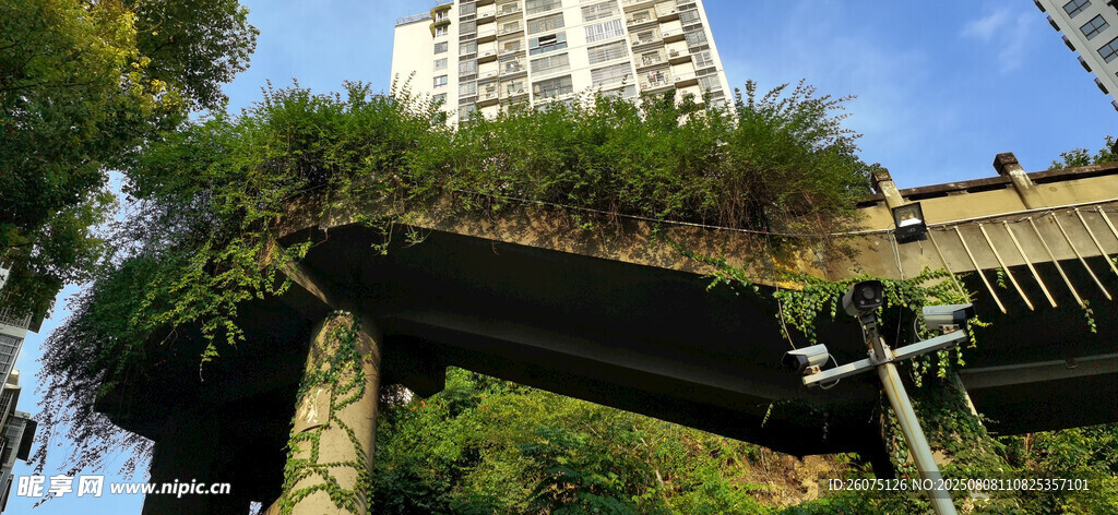 城市高架桥上的绿植缠绕景观