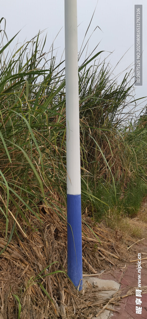蓝白相间的户外标志杆