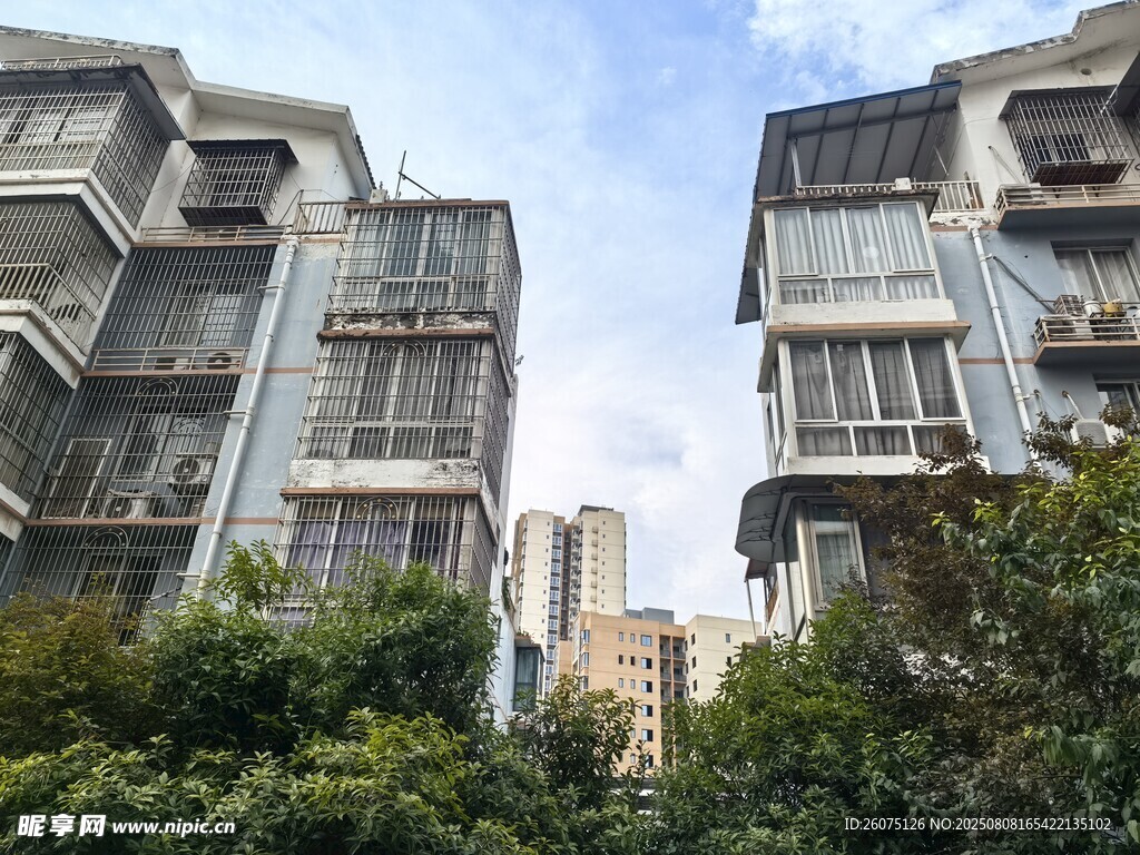 高层住宅与绿植景观