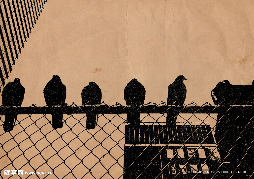 铁丝网上的鸟群剪影