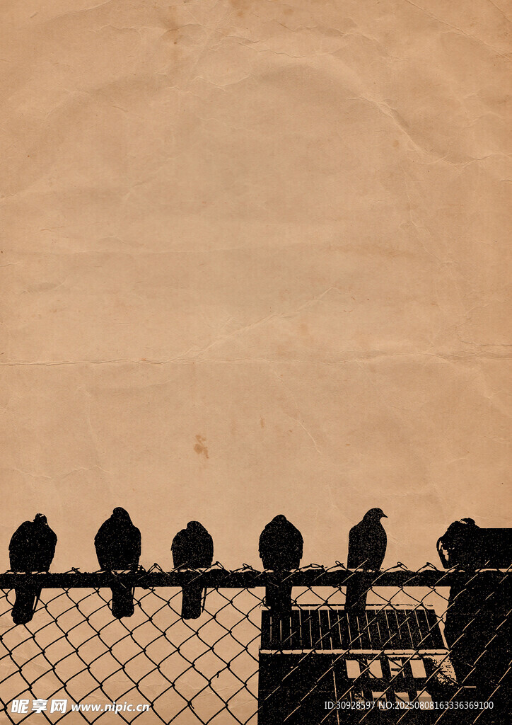 围栏上的一排鸟儿