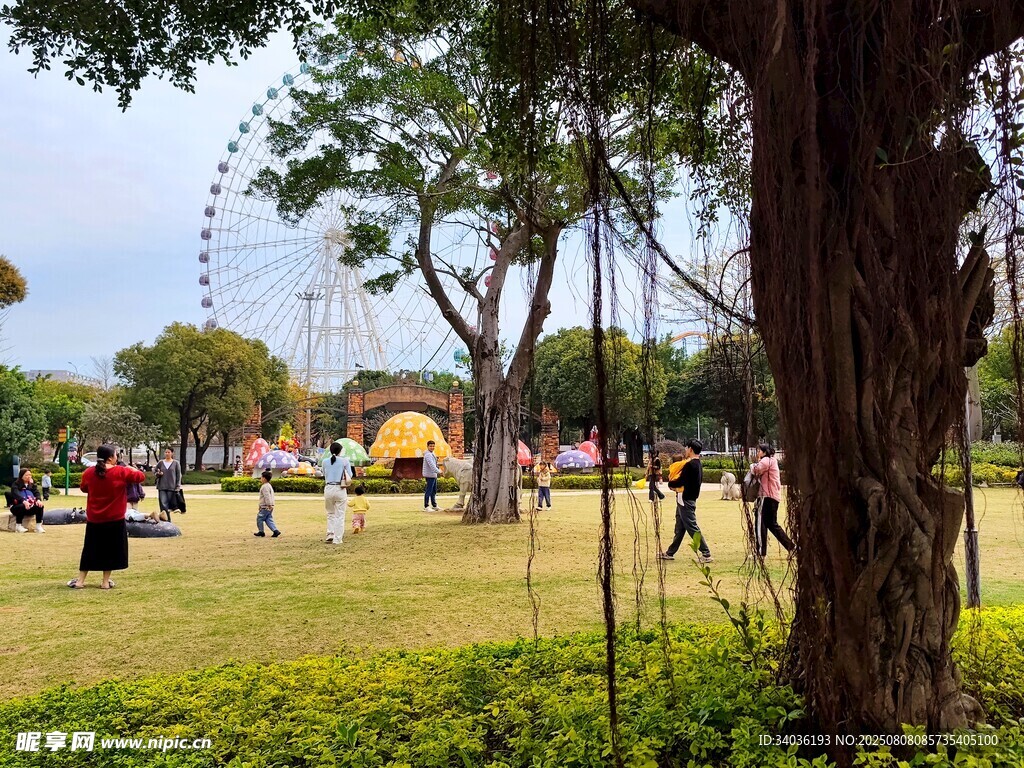 公园内热闹的户外休闲场景