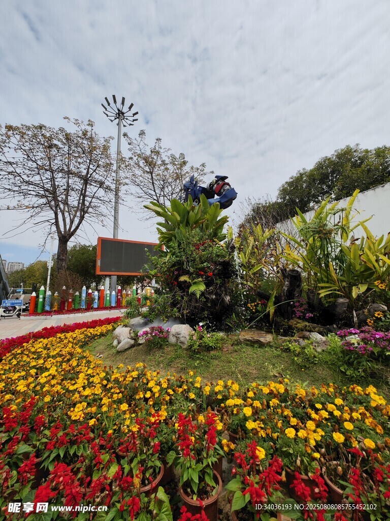 多彩花卉装点的美丽花园