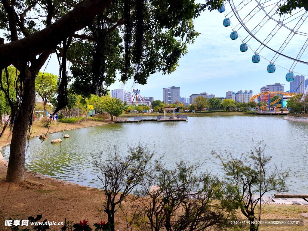 湖畔风光 远处摩天轮景致