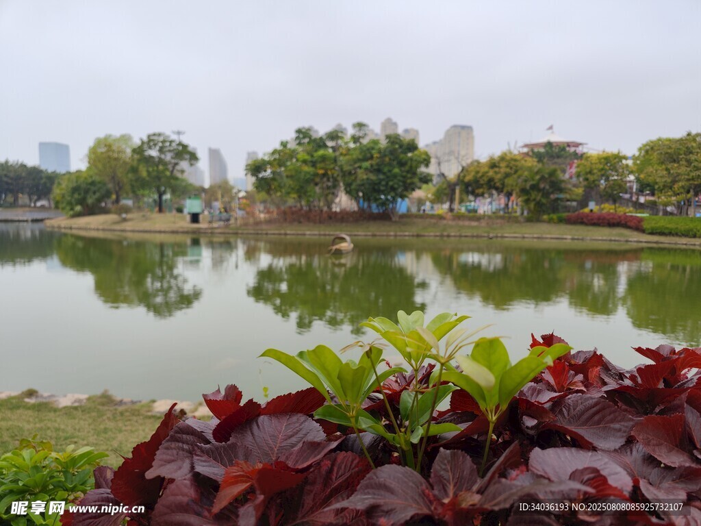湖畔绿植与宁静湖水景观