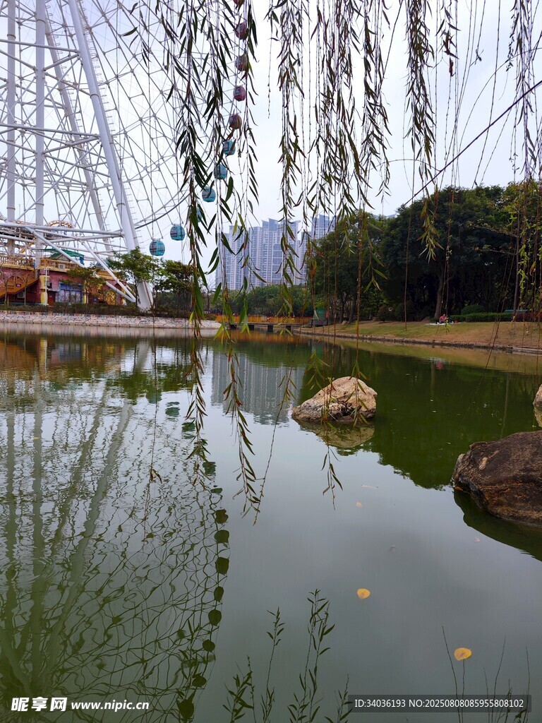 湖畔垂柳映景显静谧